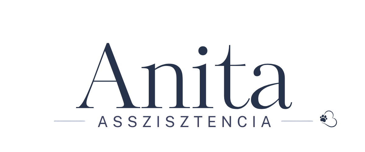 Anita asszisztencia-logó